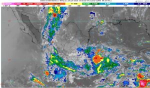 WhatsApp Image 2025-06-25 at 07.38.11