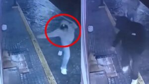 WhatsApp Image 2025-06-26 at 09.43.05