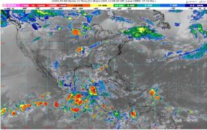 WhatsApp Image 2025-06-28 at 08.46.51