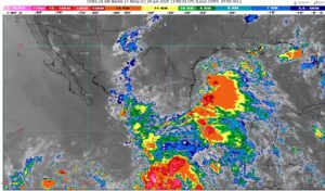 WhatsApp Image 2025-06-29 at 09.27.37