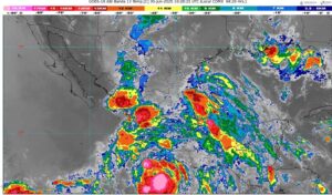 WhatsApp Image 2025-06-30 at 07.20.34