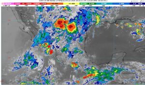 WhatsApp Image 2025-07-03 at 07.18.42