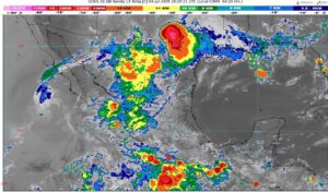 WhatsApp Image 2025-07-04 at 07.45.20