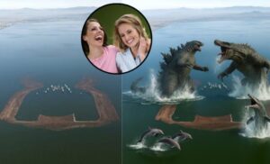 WhatsApp Image 2025-07-05 at 10.09.08