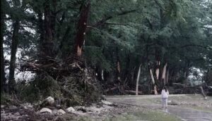 WhatsApp Image 2025-07-06 at 10.24.19