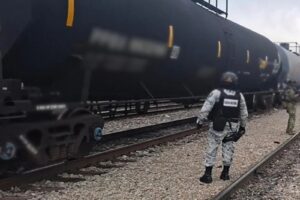 WhatsApp Image 2025-07-07 at 12.41.40