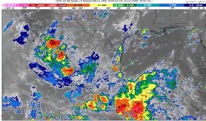 WhatsApp Image 2025-07-08 at 07.30.01