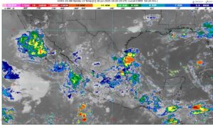 WhatsApp Image 2025-07-10 at 07.26.58