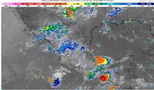 WhatsApp Image 2025-07-12 at 08.47.34