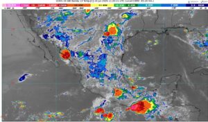 WhatsApp Image 2025-07-14 at 07.31.12