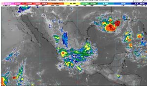 WhatsApp Image 2025-07-17 at 07.44.27