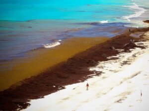 WhatsApp Image 2025-07-17 at 09.39.38