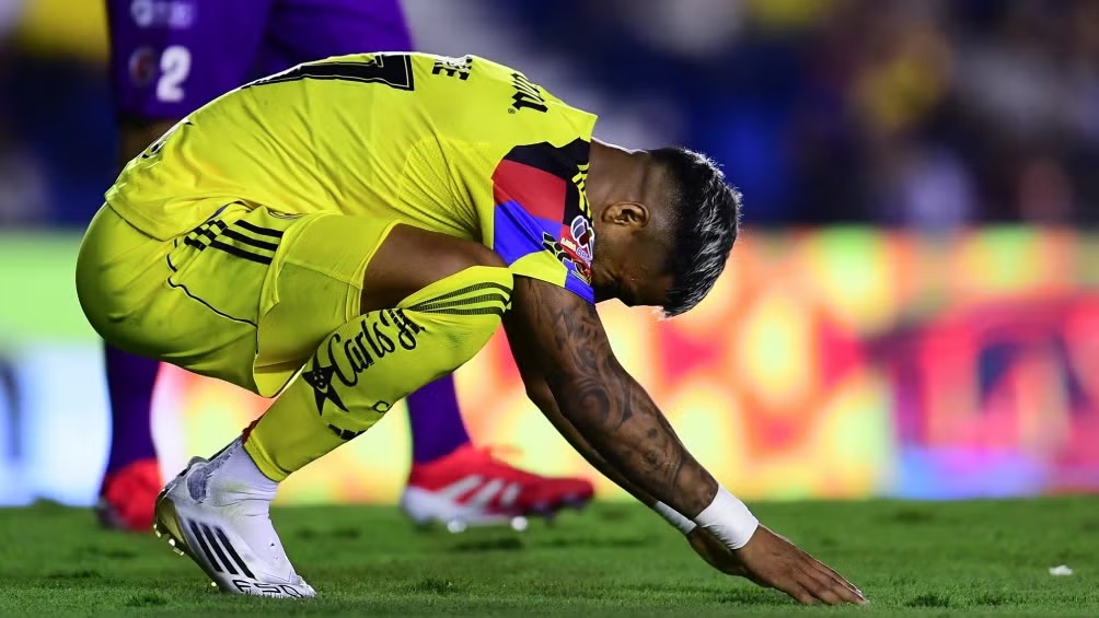 WhatsApp Image 2025-07-17 at 09.51.17