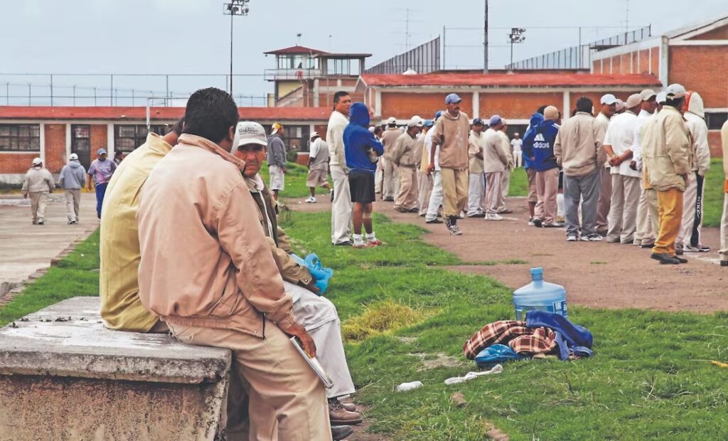 WhatsApp Image 2025-07-18 at 10.10.33 (1)