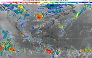 WhatsApp Image 2025-07-19 at 08.16.23