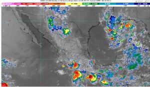 WhatsApp Image 2025-07-24 at 07.35.20