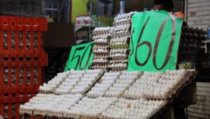 WhatsApp Image 2025-07-24 at 08.34.50