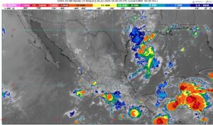 WhatsApp Image 2025-07-25 at 07.53.20