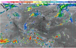 WhatsApp Image 2025-07-26 at 08.41.33