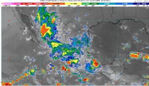 WhatsApp Image 2025-07-28 at 07.40.42