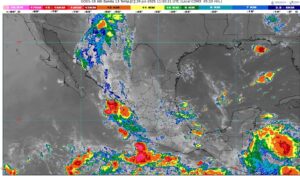 WhatsApp Image 2025-07-29 at 07.44.15