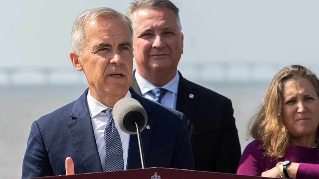 WhatsApp Image 2025-07-31 at 08.05.47