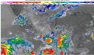 WhatsApp Image 2025-08-01 at 07.31.35