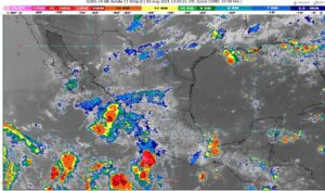 WhatsApp Image 2025-08-02 at 08.42.18