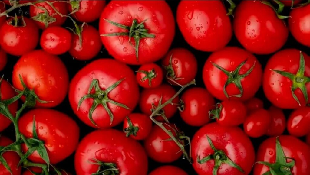 WhatsApp Image 2025-08-06 at 08.54.58