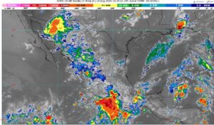 WhatsApp Image 2025-08-13 at 07.33.19