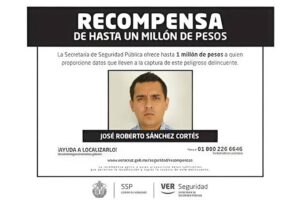 WhatsApp Image 2025-08-14 at 12.02.01