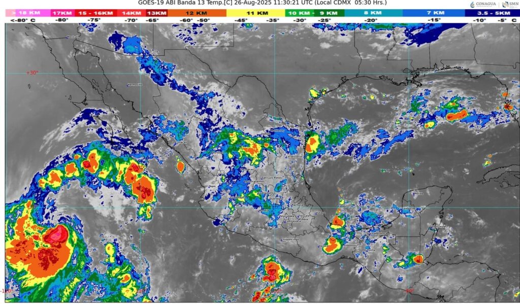 WhatsApp Image 2025-08-26 at 07.41.54