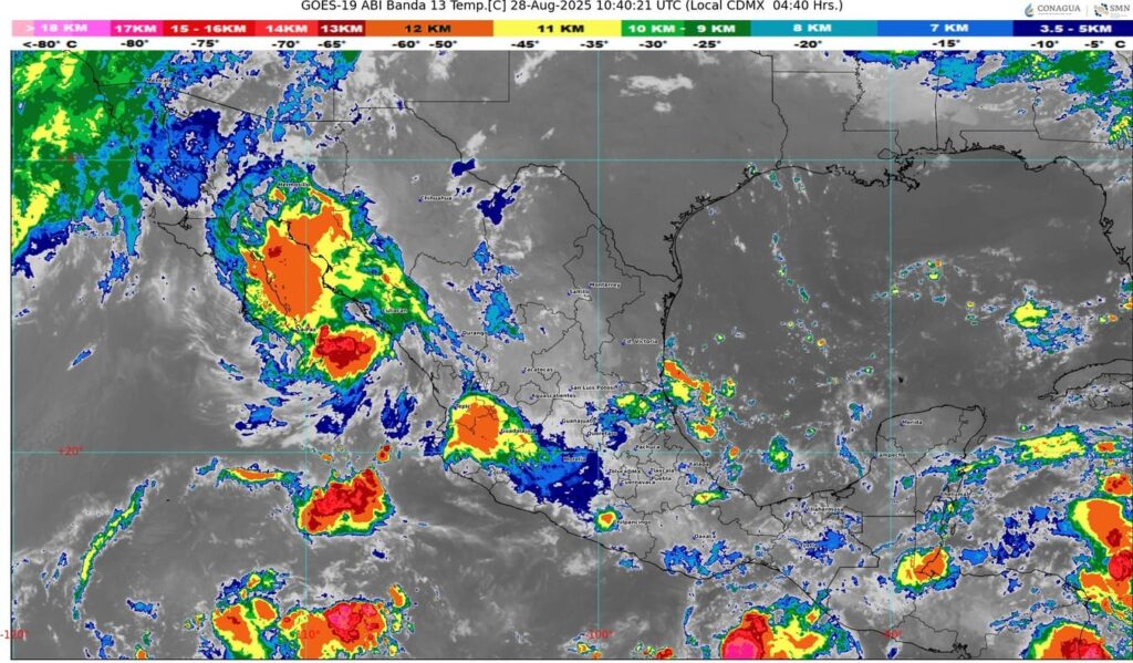 WhatsApp Image 2025-08-28 at 08.05.59