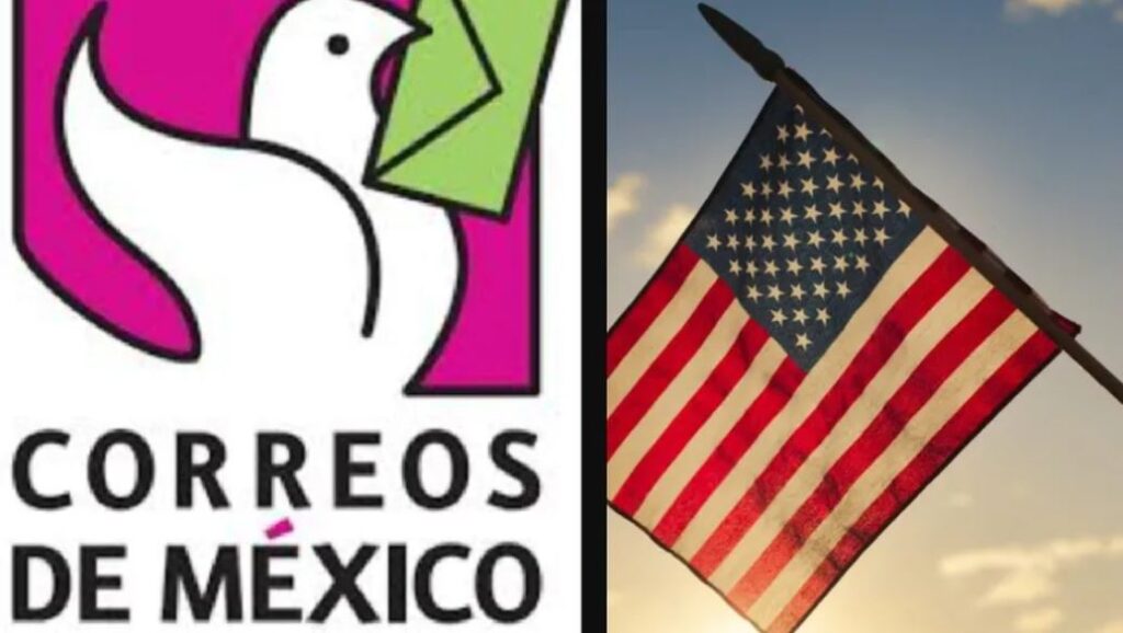 WhatsApp Image 2025-08-28 at 08.16.51