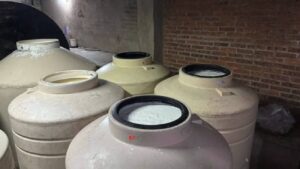 WhatsApp Image 2025-08-28 at 10.26.41