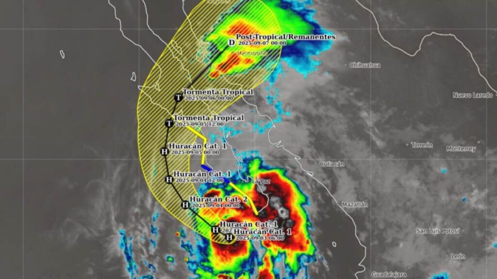 WhatsApp Image 2025-09-03 at 09.02.52