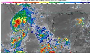 WhatsApp Image 2025-09-04 at 07.19.35