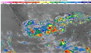 WhatsApp Image 2025-09-08 at 07.51.43