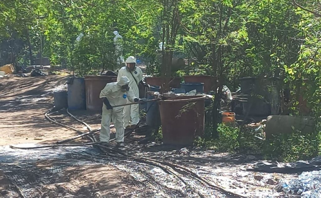 WhatsApp Image 2025-09-08 at 09.38.08