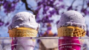 WhatsApp Image 2025-09-13 at 12.47.11