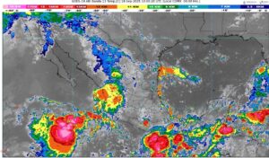 WhatsApp Image 2025-09-18 at 07.59.54