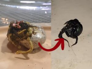 WhatsApp Image 2025-09-19 at 13.08.37