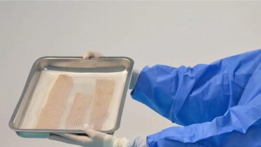 WhatsApp Image 2025-09-20 at 20.38.43