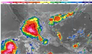 WhatsApp Image 2025-09-25 at 08.26.28