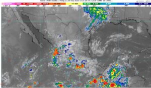 WhatsApp Image 2025-09-30 at 07.34.31