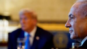 WhatsApp Image 2025-09-30 at 08.51.02