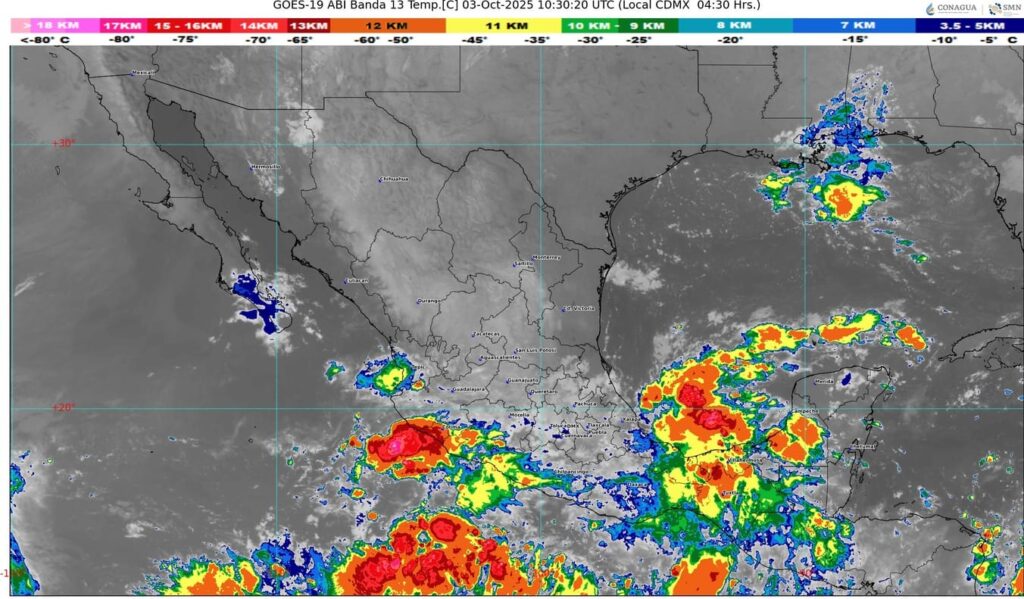 WhatsApp Image 2025-10-03 at 07.22.02