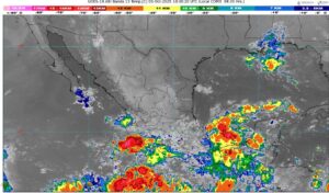 WhatsApp Image 2025-10-03 at 07.22.02