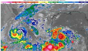 WhatsApp Image 2025-10-08 at 07.34.11