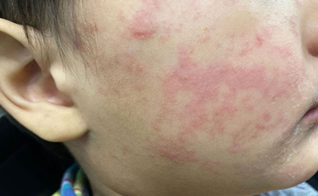 WhatsApp Image 2025-10-08 at 10.18.51